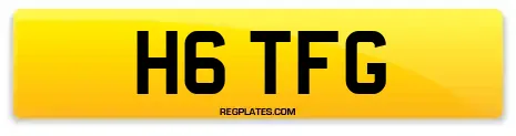 H6 TFG