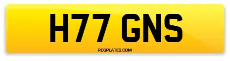 H77 GNS