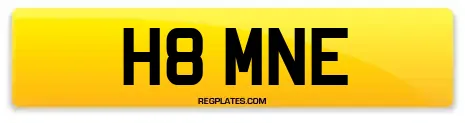 H8 MNE