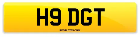 H9 DGT