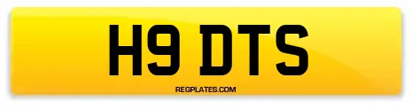 H9 DTS