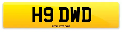 H9 DWD