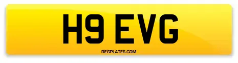 H9 EVG