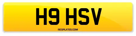 H9 HSV