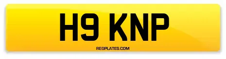 H9 KNP