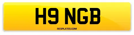 H9 NGB