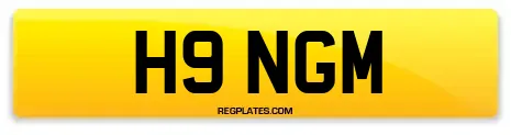 H9 NGM