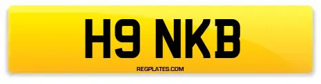 H9 NKB