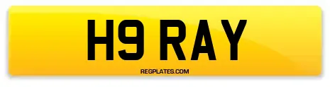 H9 RAY