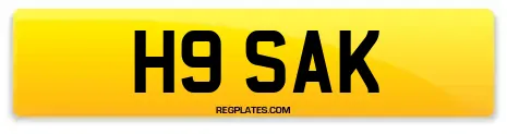 H9 SAK