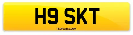 H9 SKT