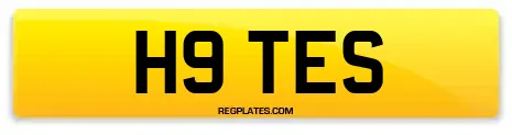 H9 TES