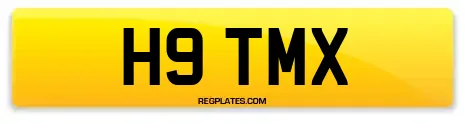 H9 TMX