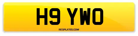 H9 YWO