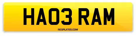 HA03 RAM