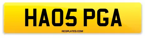 HA05 PGA