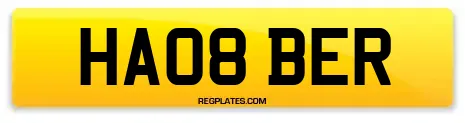 HA08 BER