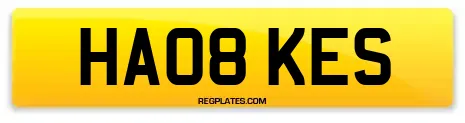 HA08 KES