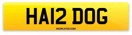 HA12 DOG