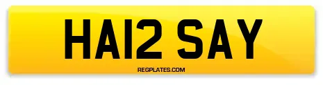 HA12 SAY