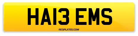 HA13 EMS