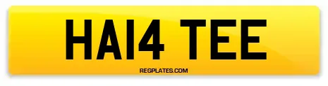 HA14 TEE