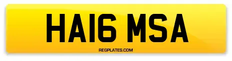 HA16 MSA