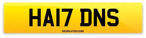 HA17 DNS