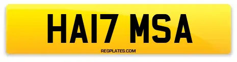 HA17 MSA