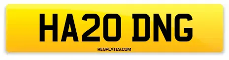 HA20 DNG