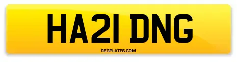 HA21 DNG