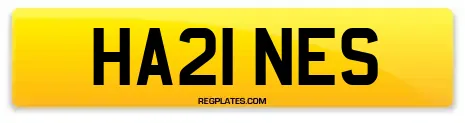 HA21 NES