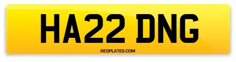 HA22 DNG