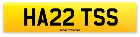 HA22 TSS