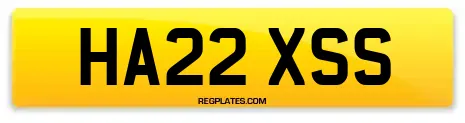 HA22 XSS