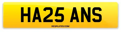 HA25 ANS