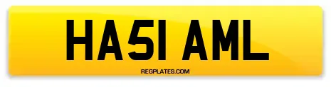 HA51 AML