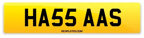HA55 AAS