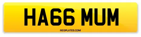 HA66 MUM