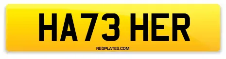 HA73 HER