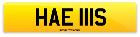 HAE 111S