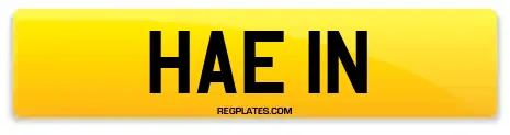 HAE 1N