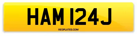 HAM 124J