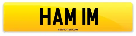 HAM 1M