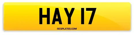 HAY 17