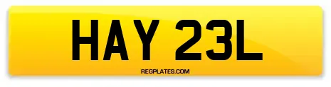 HAY 23L