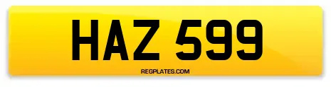 HAZ 599