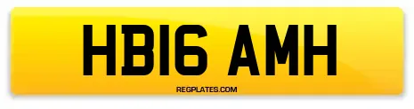 HB16 AMH