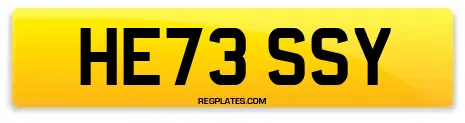 HE73 SSY