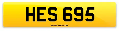 HES 695